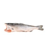 Pink (Hump-Back) Salmon