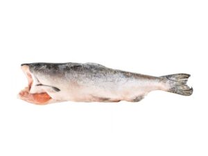 Pink (Hump-Back) Salmon